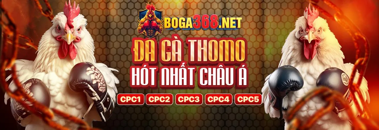 Đá Gà Trực Tuyến Sodo77vn